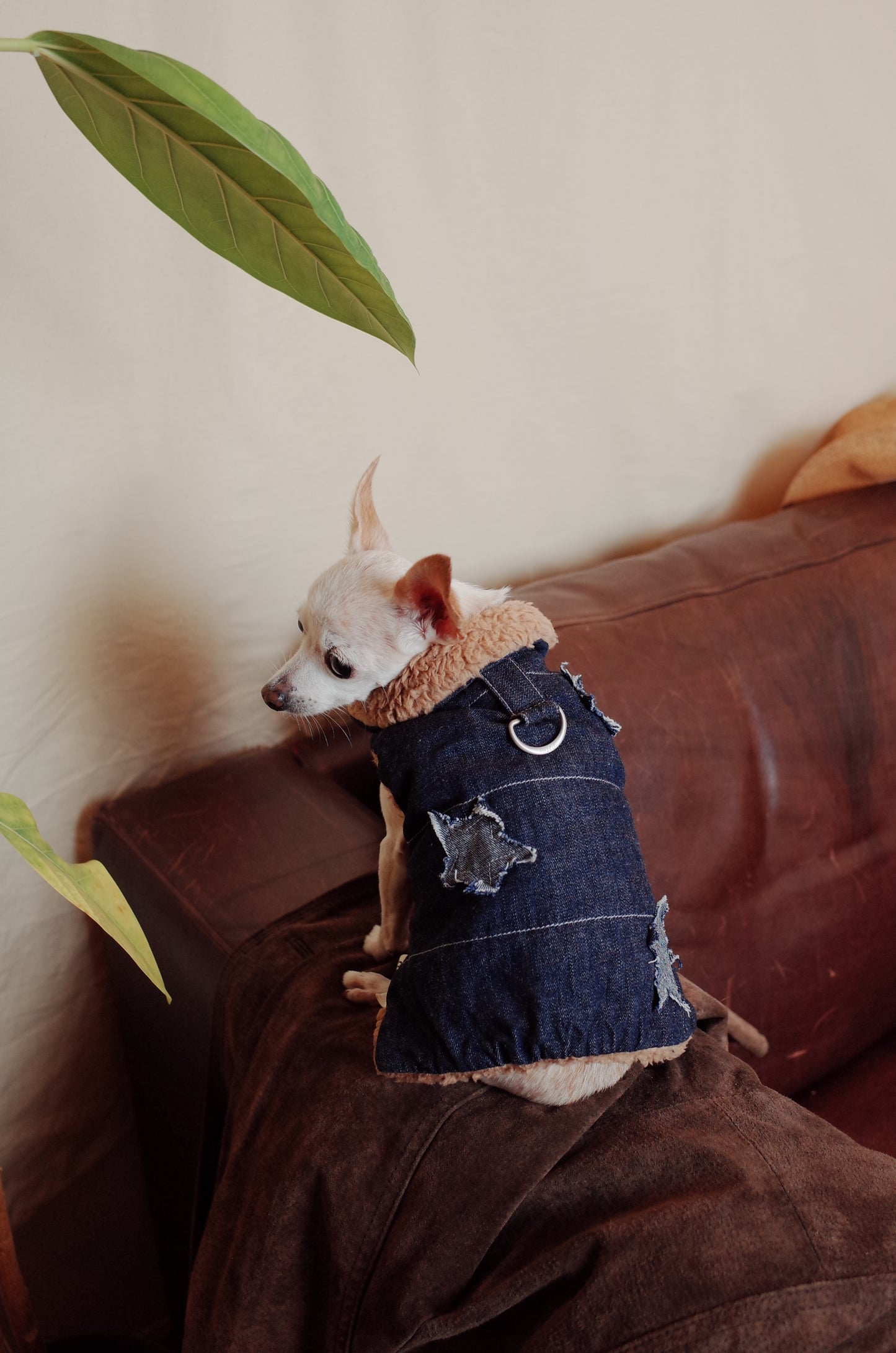 Patuu Star Patch Denim Jacket