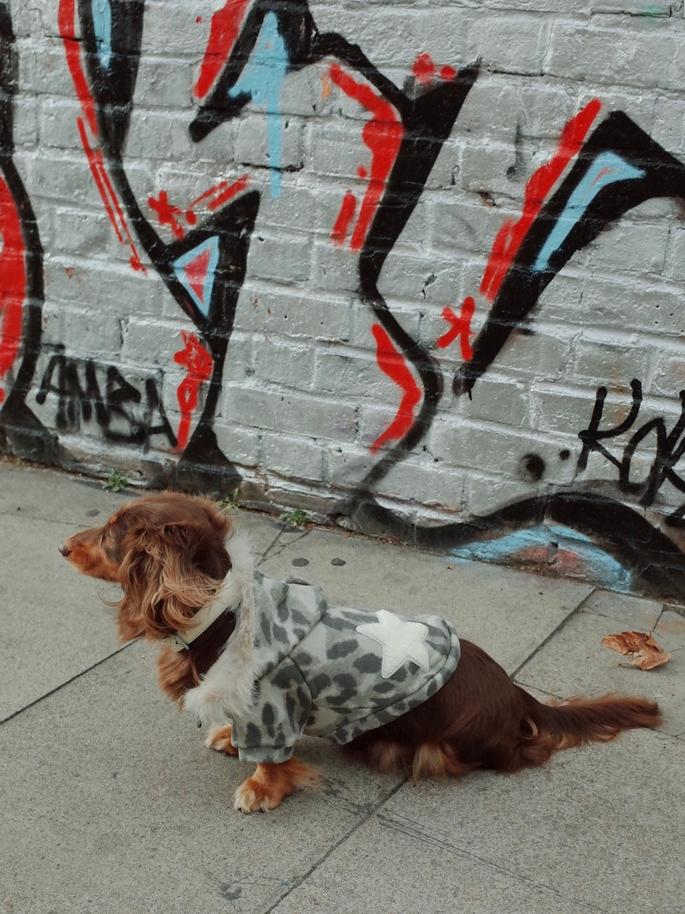 Patuu Pet Leopard Hoodie