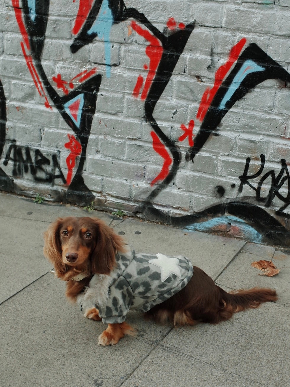 Patuu Pet Leopard Hoodie