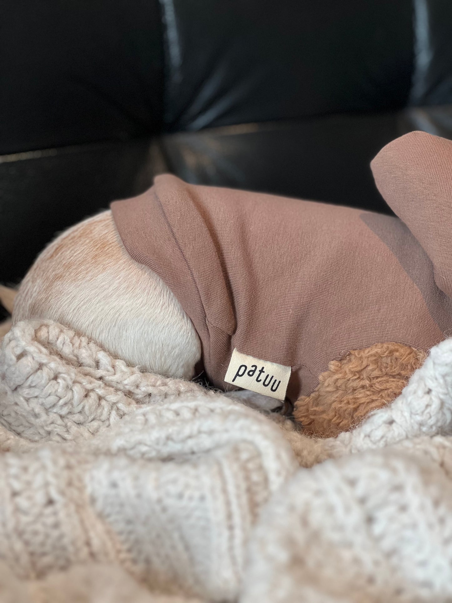 Patuu Pet Puff Hoodie/ Brown