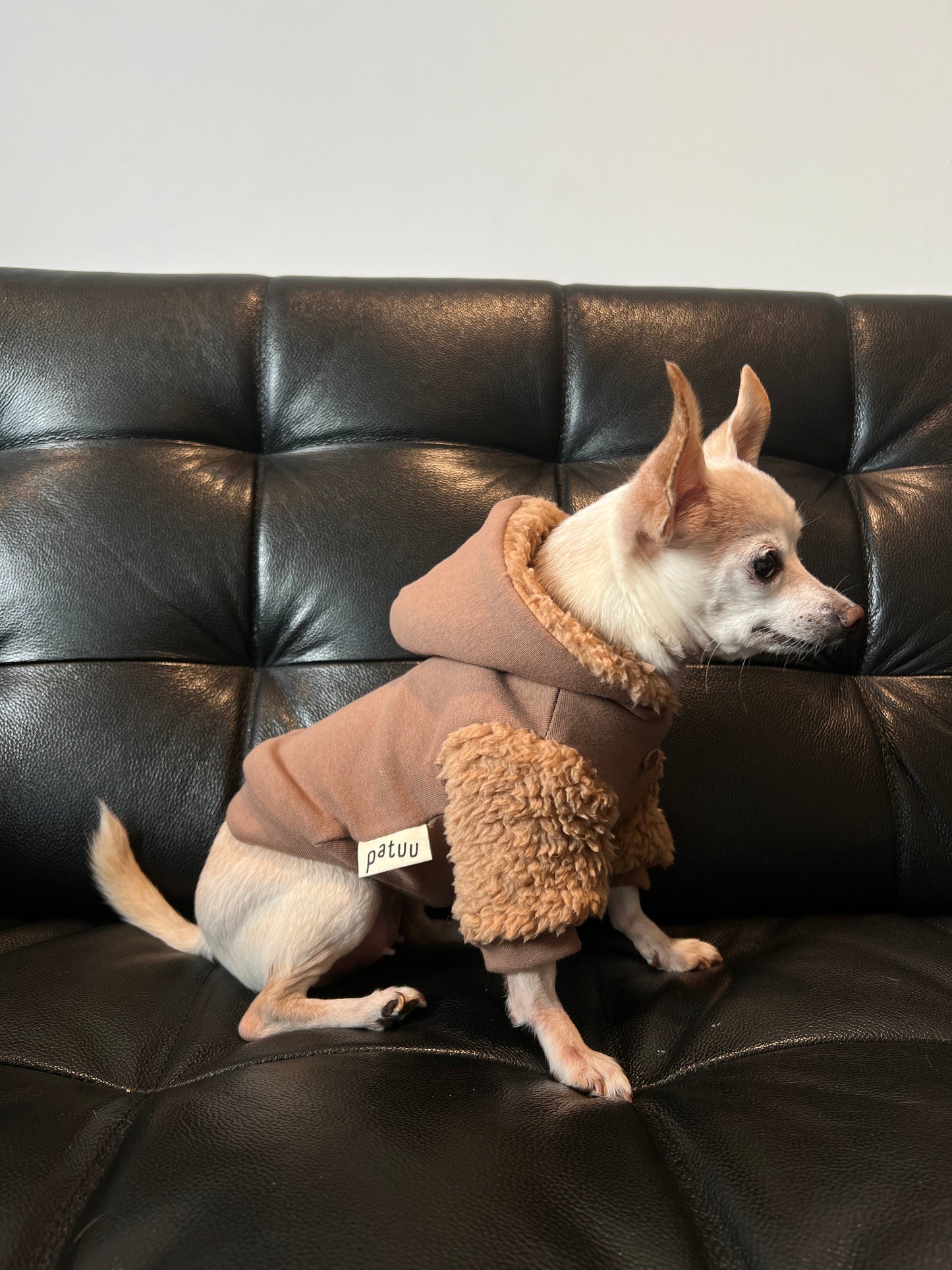 Patuu Pet Puff Hoodie/ Brown