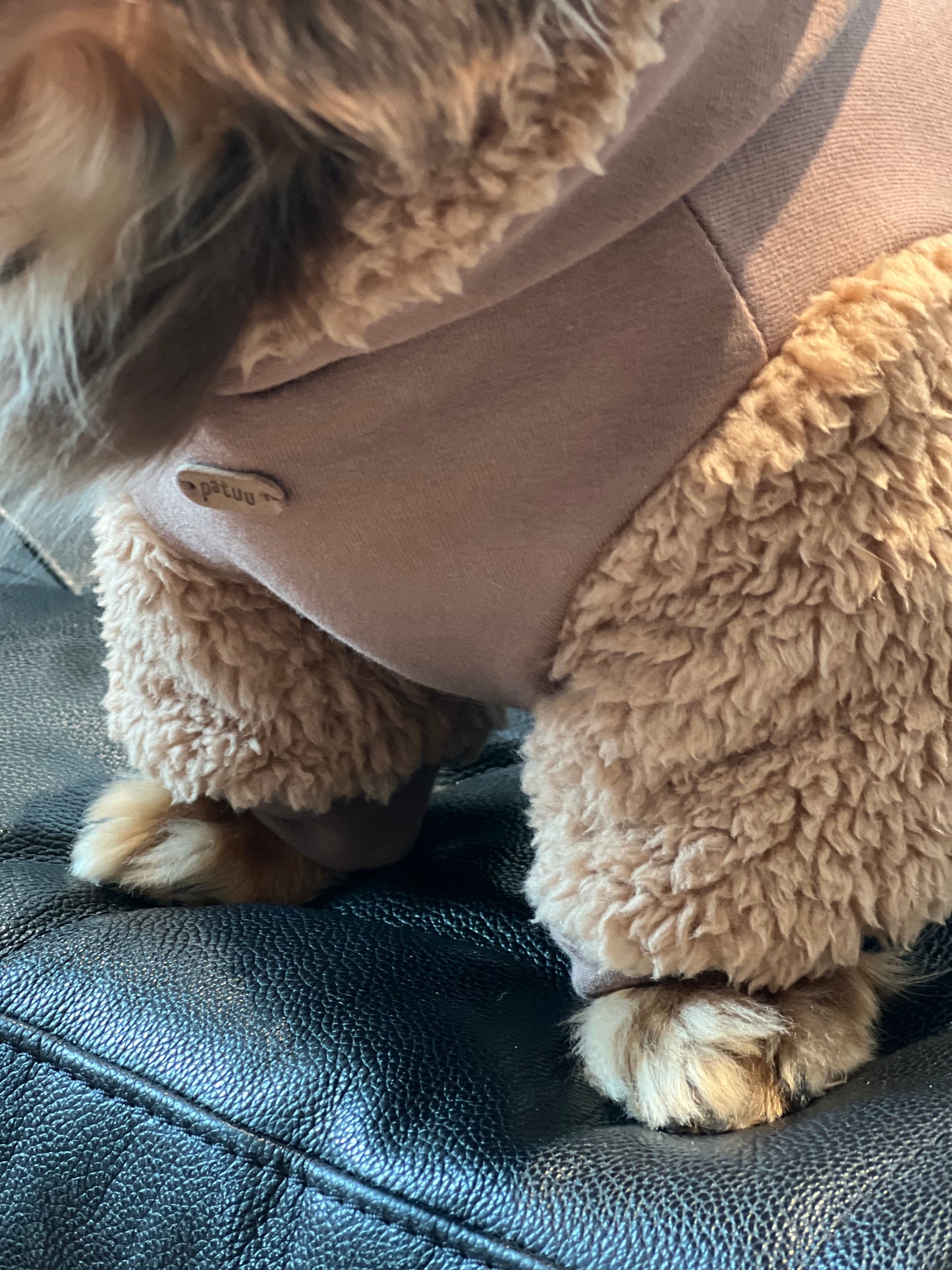 Patuu Pet Puff Hoodie/ Brown