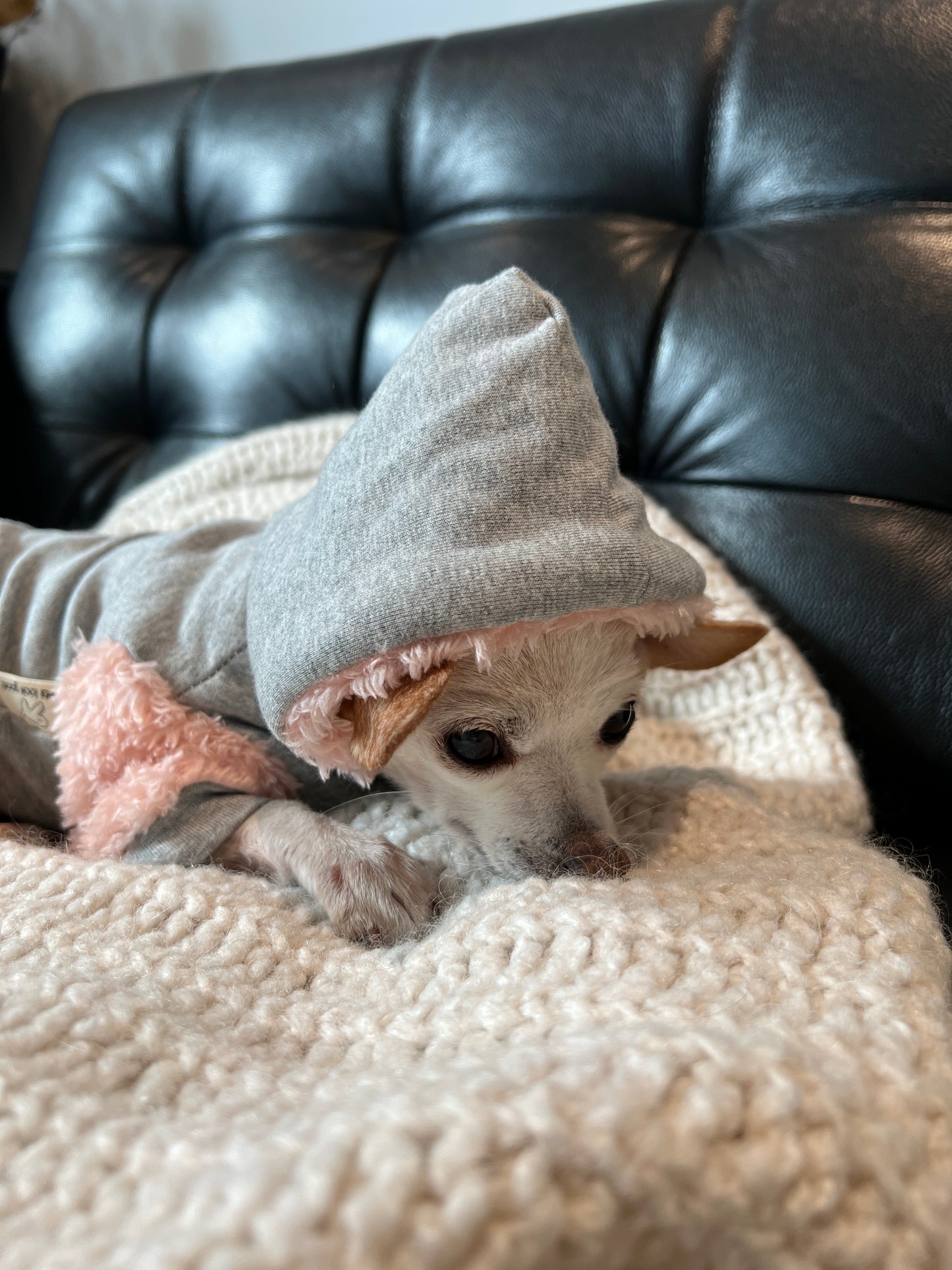 Patuu Pet Puff Hoodie/ Grey