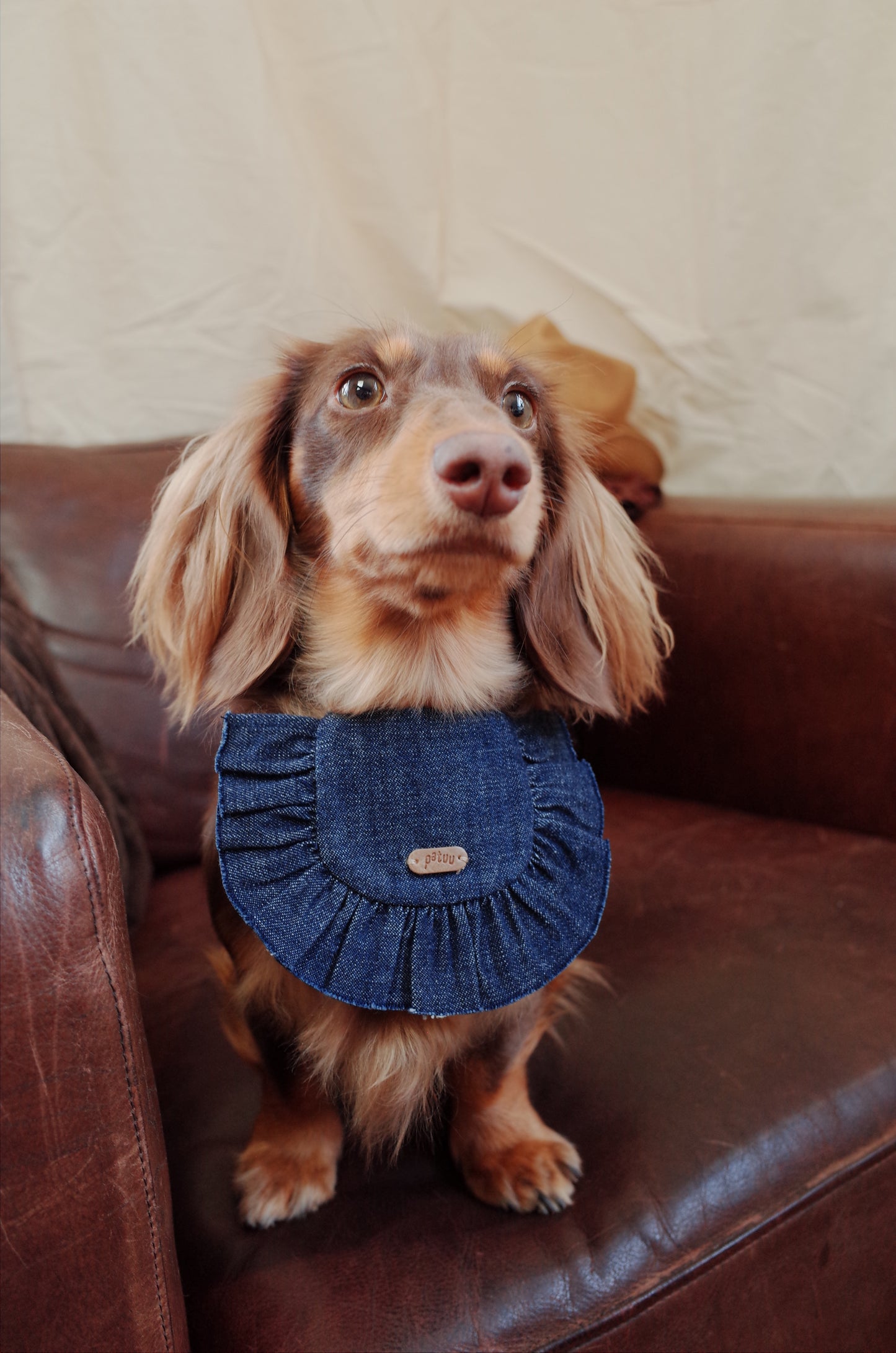 Patuu Pet Denim Bib