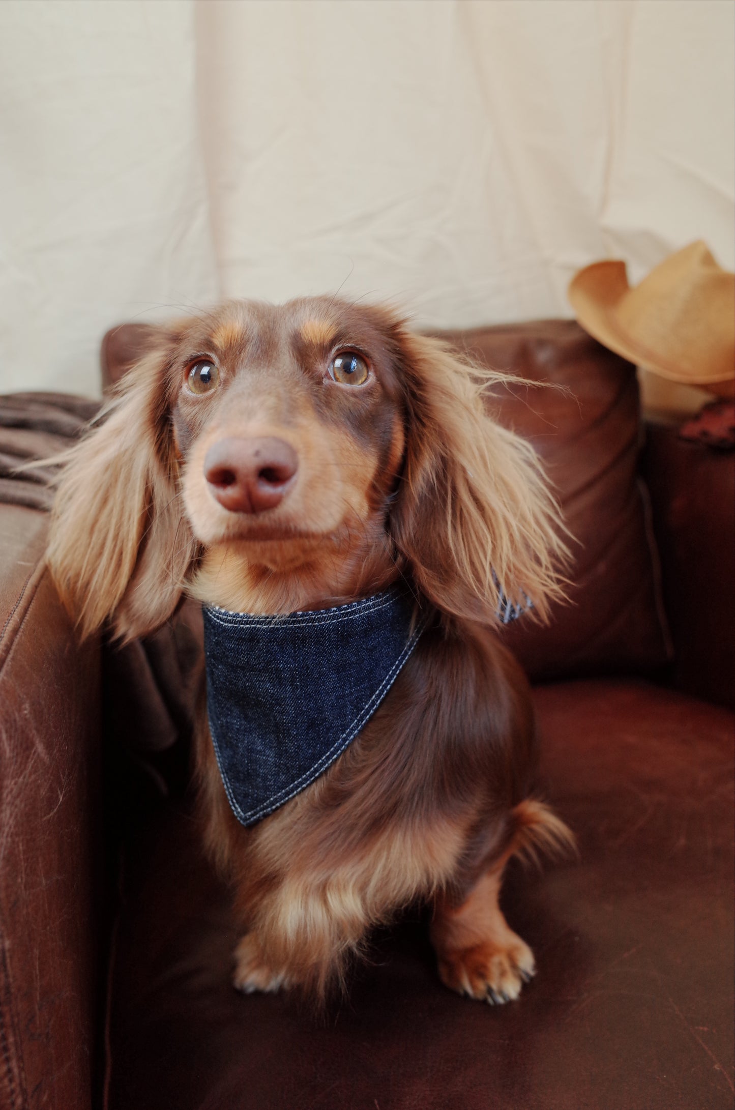 Patuu Denim Bandana