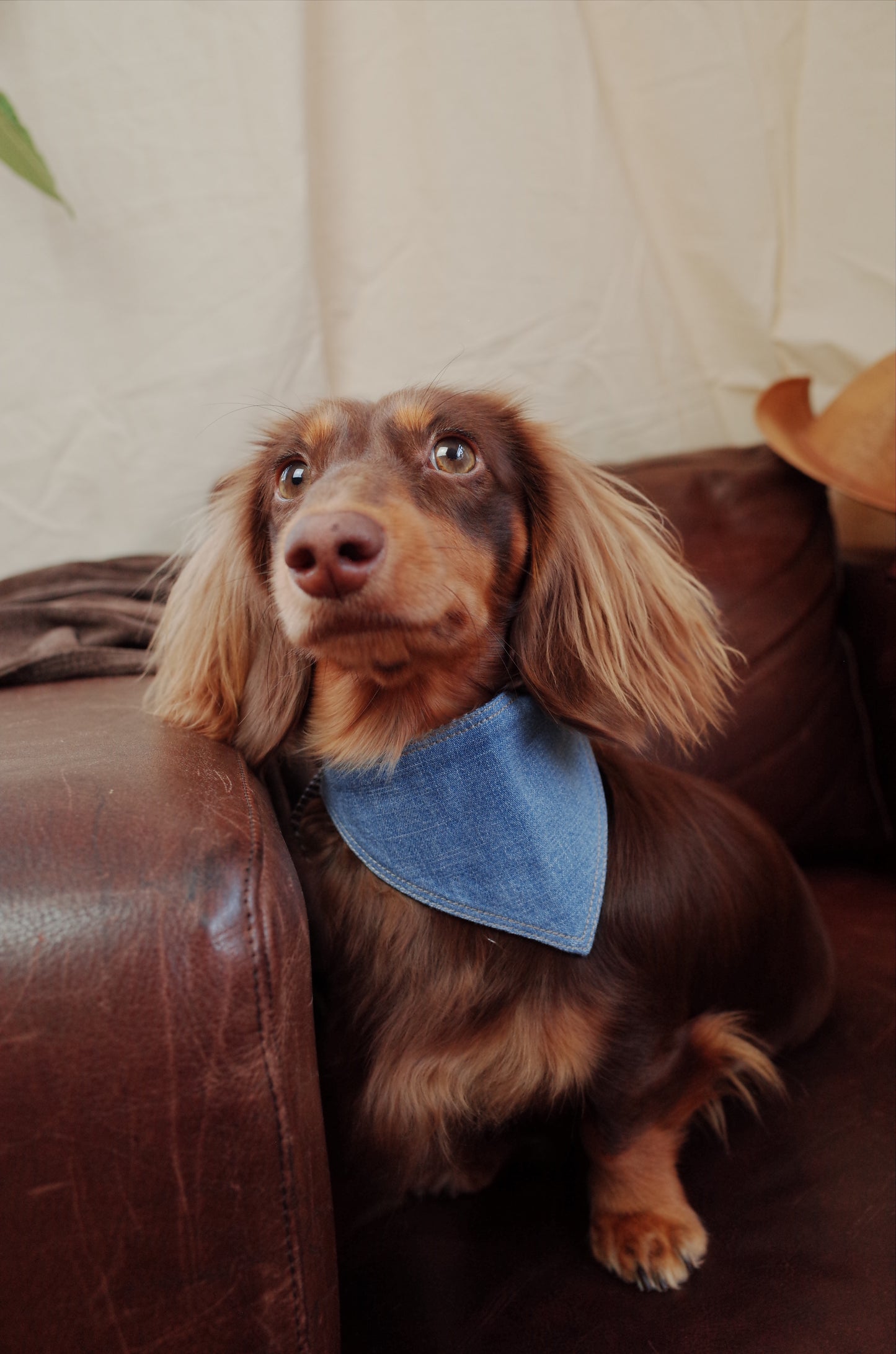 Patuu Denim Bandana