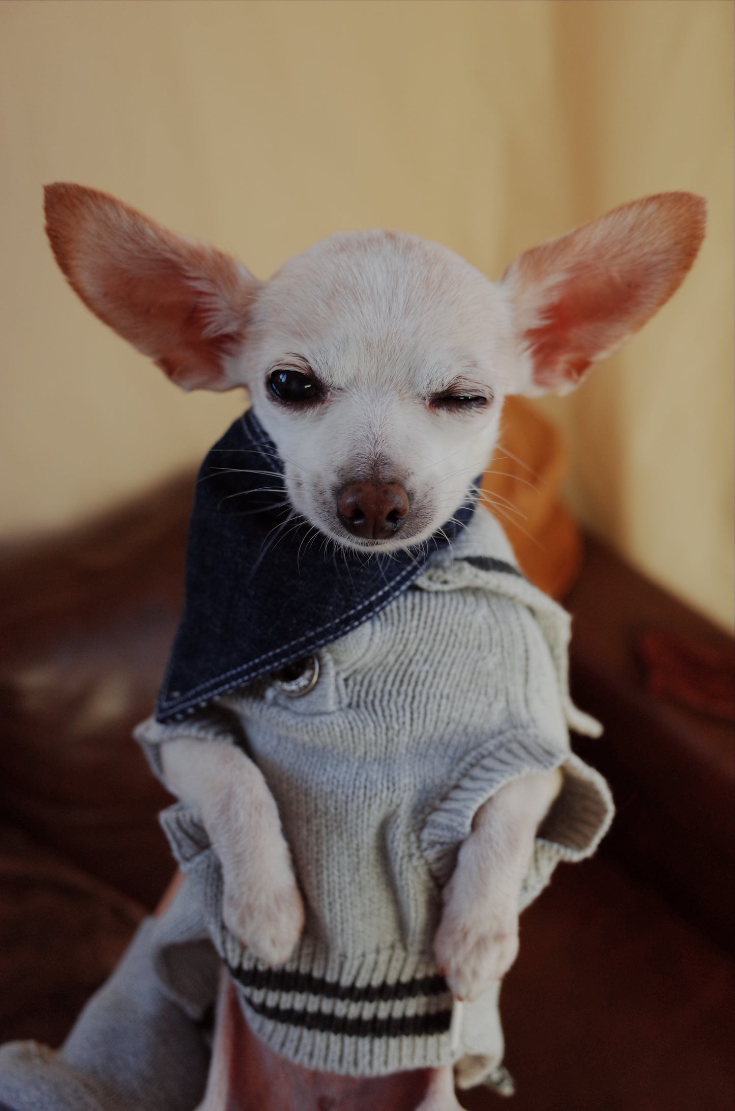 Patuu Denim Bandana