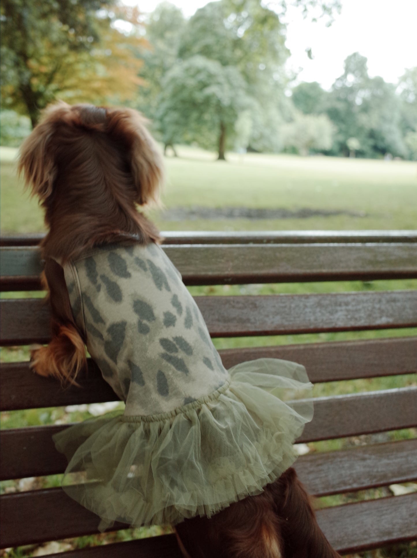 Patuu Leopard Cami Dress