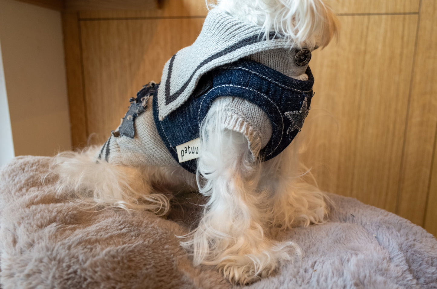 Patuu Denim Dog Harness