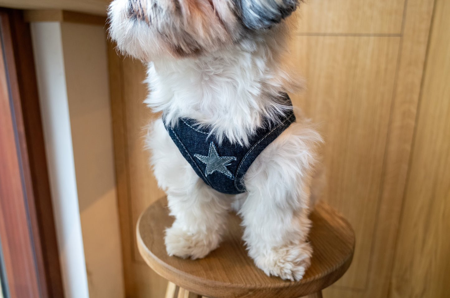 Patuu Denim Dog Harness