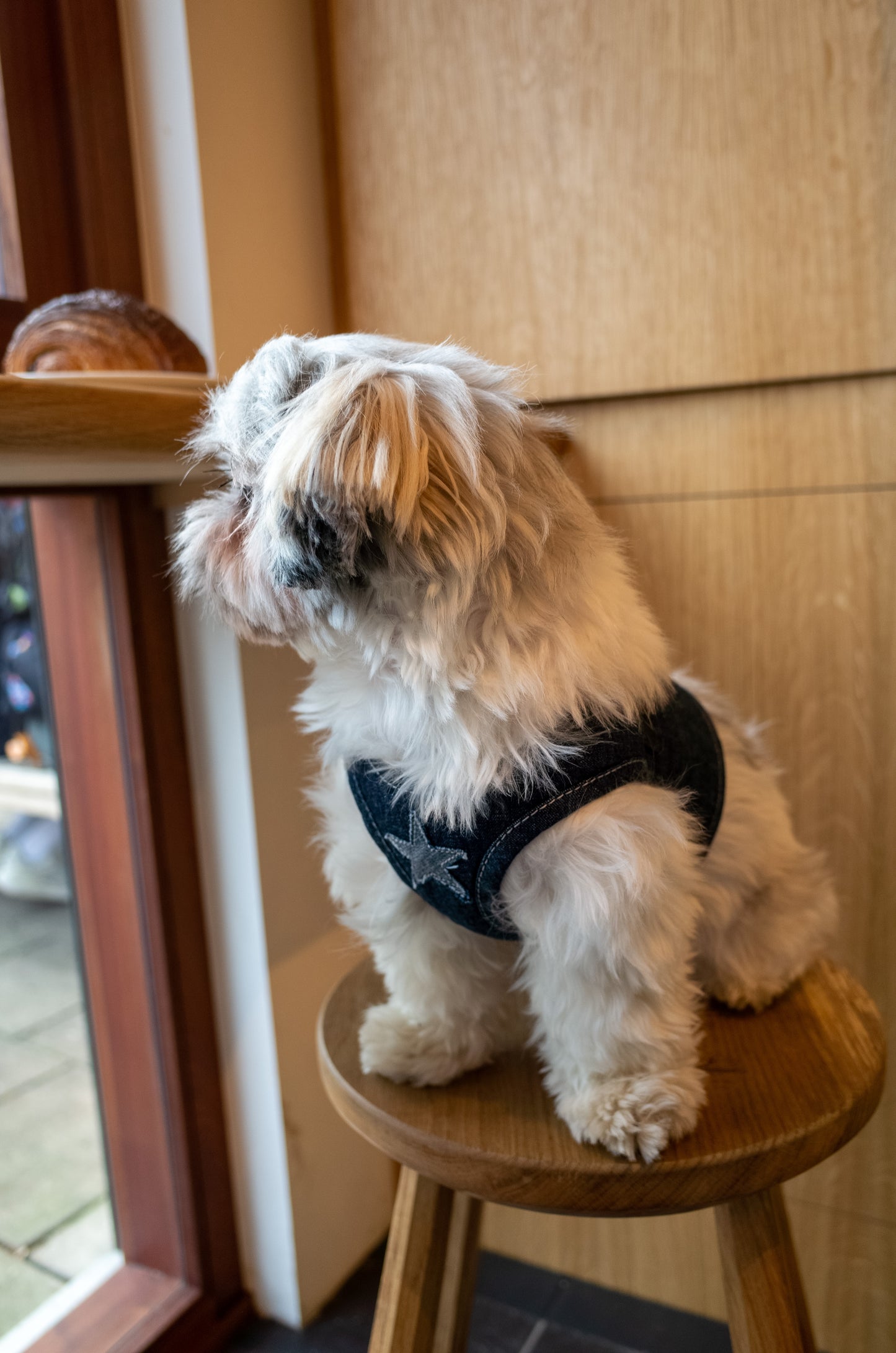 Patuu Denim Dog Harness