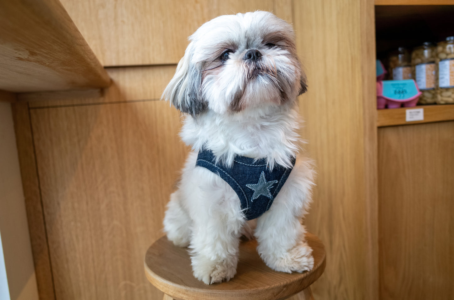 Patuu Denim Dog Harness